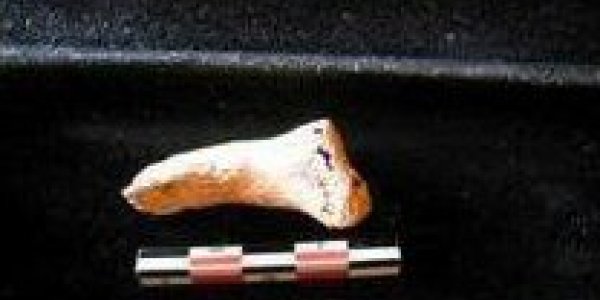 The Bones Of John The Baptist Found?