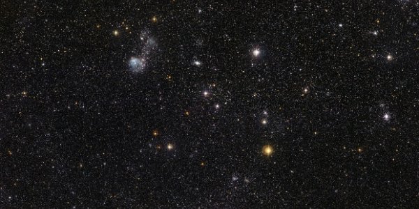 Celestial Menagerie In The Large Magellanic Cloud