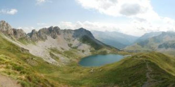 Micropredators Dictate Occurrence Of Deadly Amphibian Disease