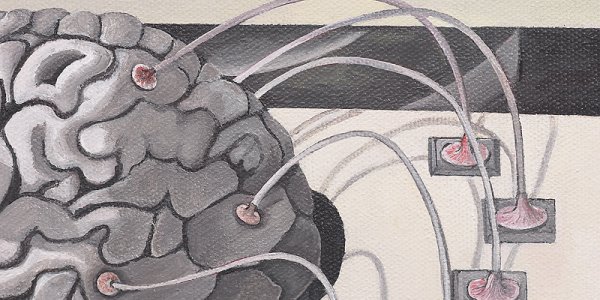 Openness And The Brain's PMTG Are "Affective" And "Cognitive" Components Of Creativity