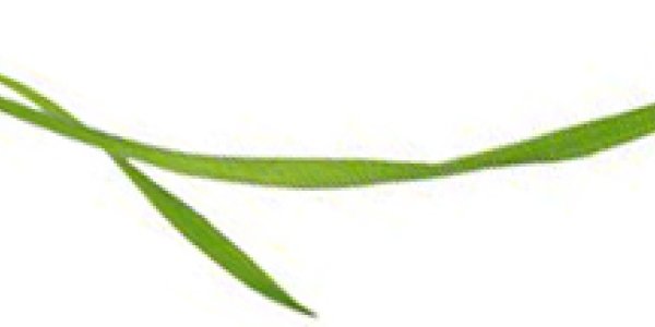 Grassroots Science: An Article Wishlist For The Journal of Scientific Communication