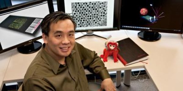 Pathogen Sleuthing A False Alarm On Hepatitis