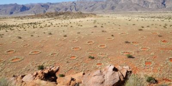 Fairy Circles Apparently Not Created By Termites