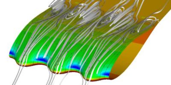 Applied Mathematics Looks To Dolphins For Wind Turbine Design
