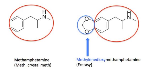 The Agony Of The Ecstasy