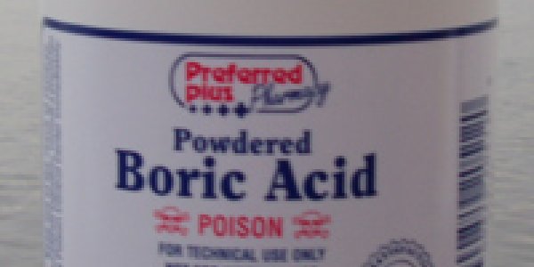 New Study On Chemicals In Pregnant Women (and General Kvetching)