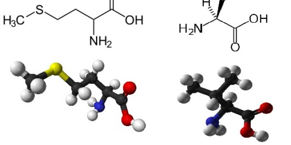 The Genetics Of Suicide