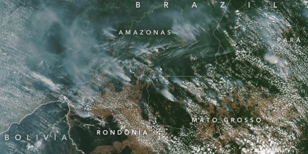 Activists Saying Brazil Fires Were Caused By GMO Soy Means We've Reached Peak Environmental Science For 2019