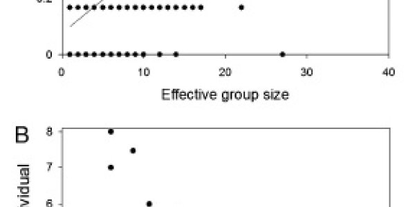 Better Problem-Solving In Groups