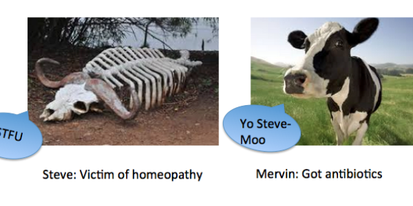 Does This Cow Really Exist?