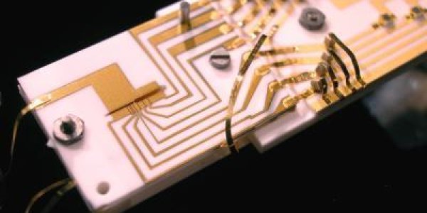 Viability Of Quantum Computers As Unpredictable As Quantum Mechanics