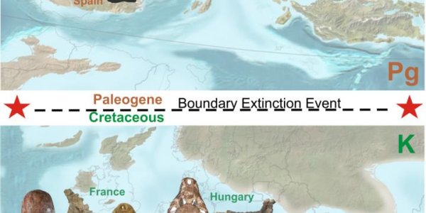 Dinosaurs In Europe Died Quickly Too