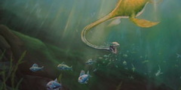 Elasmosaurs: Predators of  Ancient Seas
