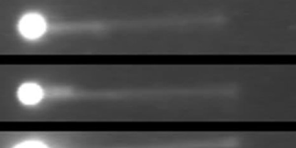 Ergodic Theorem: Statistical Mechanics Demonstrated By Protein Molecules