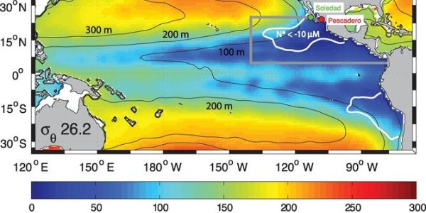 Winds Blowing May Not Prevent Ocean 'Dead Zones' Growing