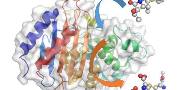 Antibiotics Of The Future