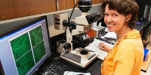 Gene Therapy For Weight Loss Without Bone Loss