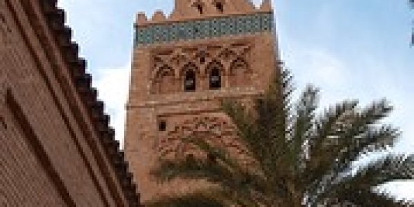 Tetralophodon: Tangier Unearthed