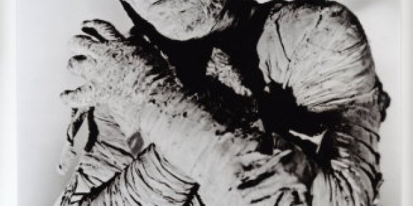 The Secret Of Mummy Embalming