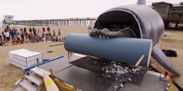 Has Shark Week Jumped The, You Know ...?