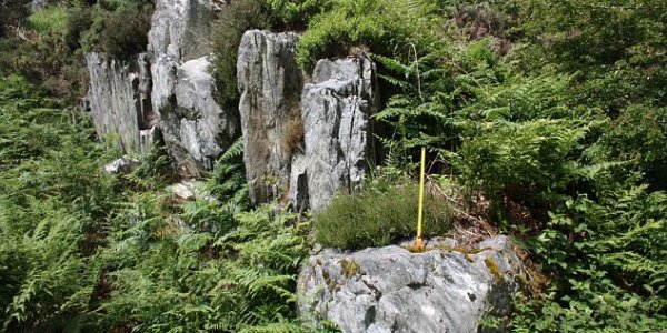 Where Did The Rocks Of Stonehenge Come From?