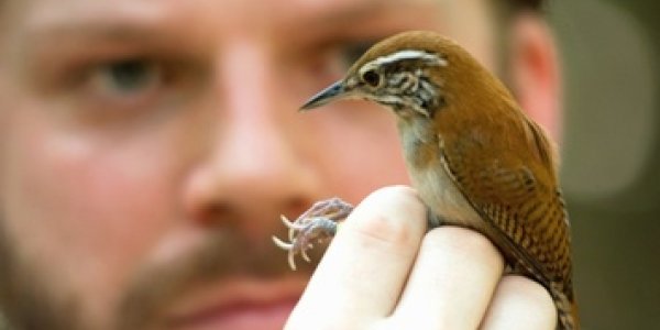 Why Do We Duet? 'Aggressive Audio Warfare' (and Sonny and Cher)