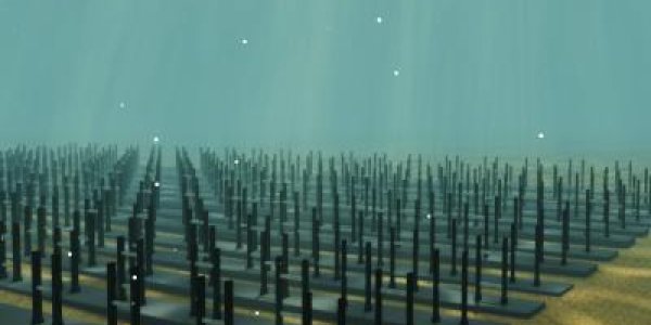 VIVACE - Move Like A Fish, Generate Electricity From Water