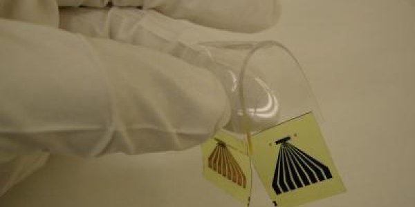 A Stretchable Highway For Light