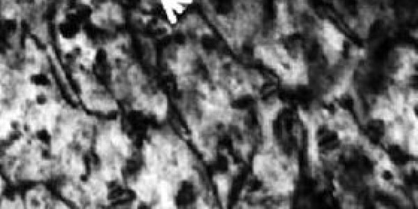 No Radiation: Using Ions To Test The Shelf-Life Of Nuclear Reactors