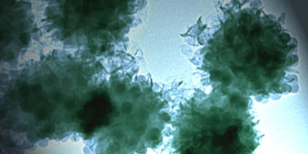 'Battered' Polymers Could Mean Self-Healing Paint