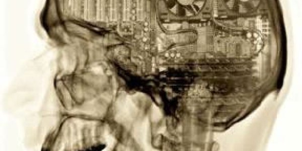 The Death of Long Term Memory