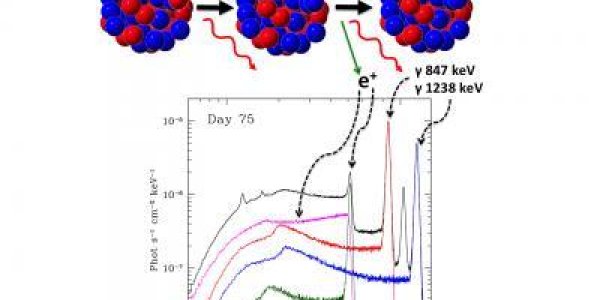 Radioactive Cobalt Detected In A Supernova Explosion
