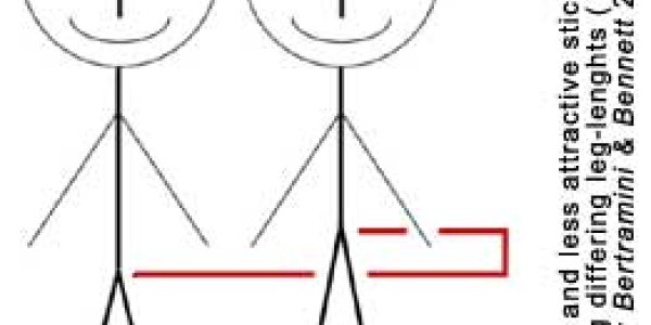 Measuring Leg-Length Attractiveness (Using Stick Figures)