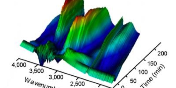 Extreme Cell Behavior, Coming To A Video Near You
