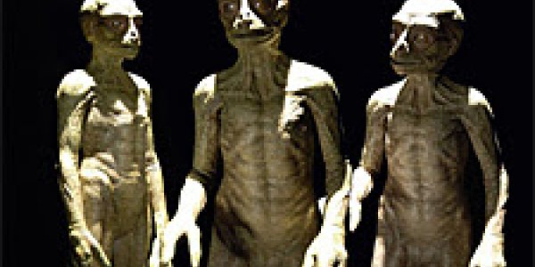 If dinosaurs hadn't gone extinct: the evolution of dinosauroids