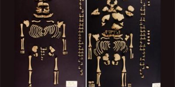 Prehistoric Iberian Twins Remains Discovered