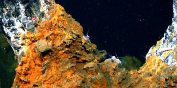 Substance In Photosynthesis Was At Work In Ancient, Methane-producing Microbes