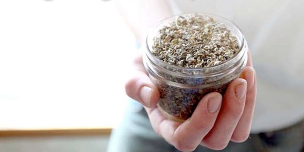 Synthetic Cannabinoids - Please Don't Call It Fake Weed