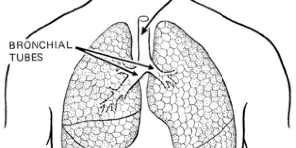 Rule Change May Not Save Dying Child, But You Could