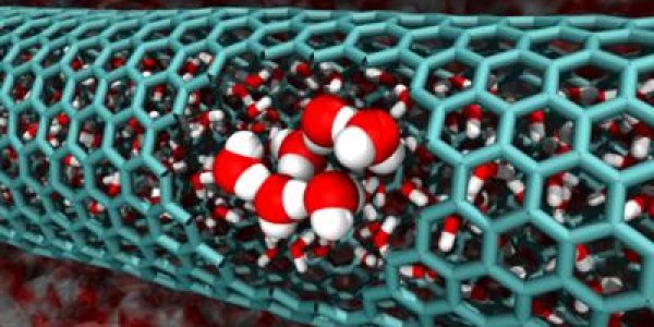 The Water Problem In Carbon Nanotubes