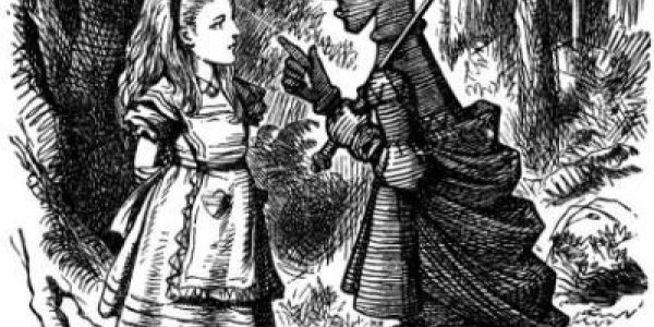 Does The Red Queen Hypothesis Makes Species Resilient?