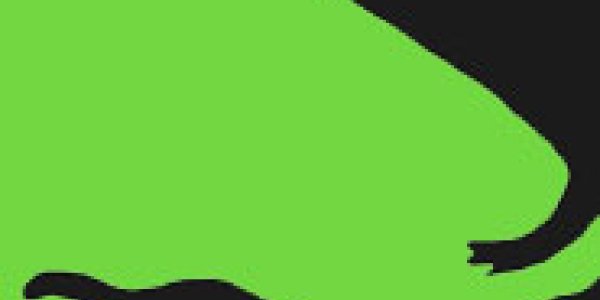 Thecodontosaurus, The Bristol Dinosaur, Was An Island Hopper