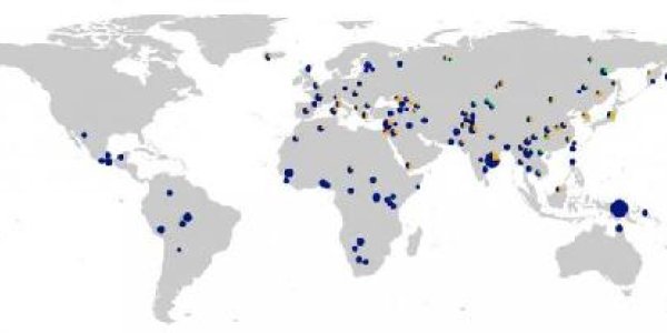 Neanderthal Genes Led To More Immunity, And More Allergies