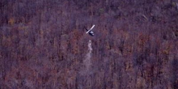 Calcium May Be Key To Restoring Acid Rain-Damaged Forests