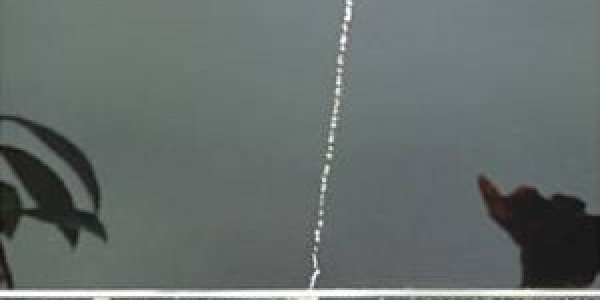 Squid Counting And Comics