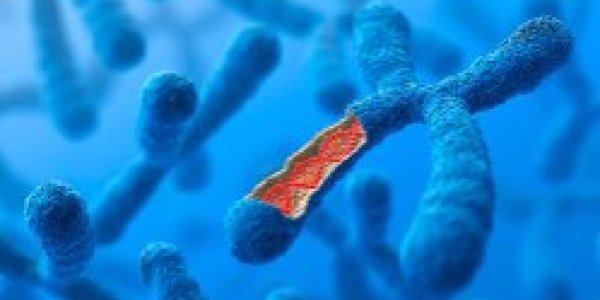 Ontario Is A Worldwide Inflammatory Bowel Disease Hub