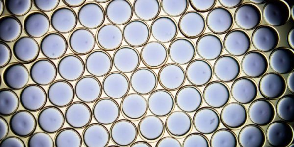 Liquid Carbonates Prevent Greenhouse Gases From Entering The Atmosphere