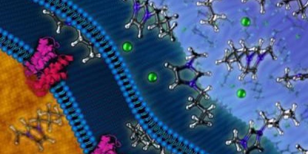 When It Comes To Genetically Modified Biofuels, Resistance Is Not Futile