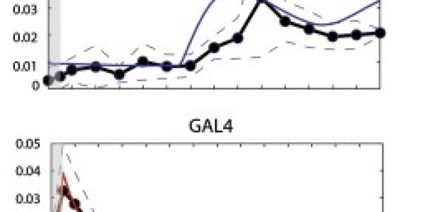 Systems Biology Strikes Gold?