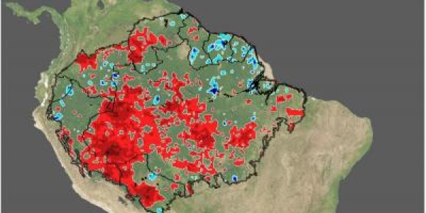 Global Warming Puzzle: Amazon Rainforest Showed Better Growth During Drought
